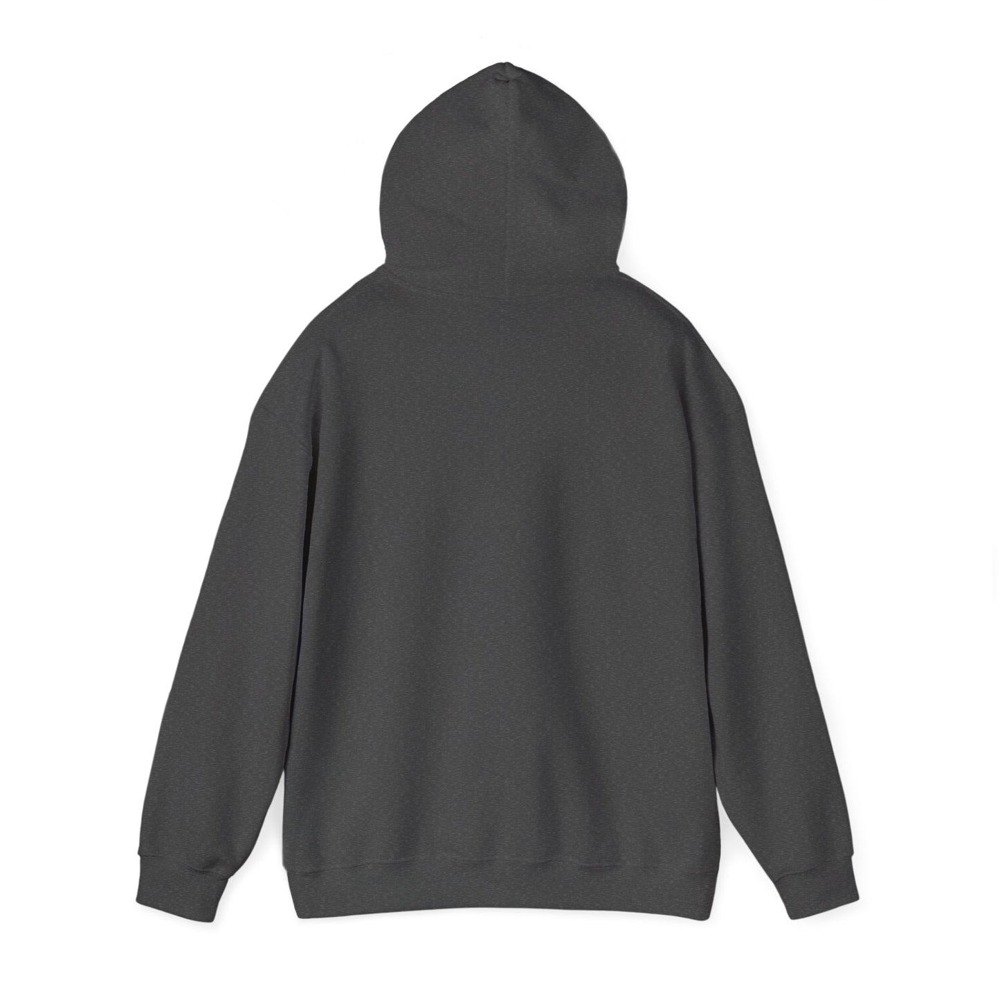Hoodie — "I Survived Too Many Storms to Be Bothered by Raindrops" Retro Graphic