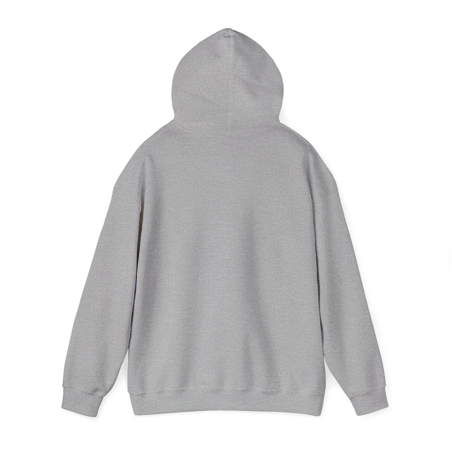 Hoodie — "I Survived Too Many Storms to Be Bothered by Raindrops" Retro Graphic