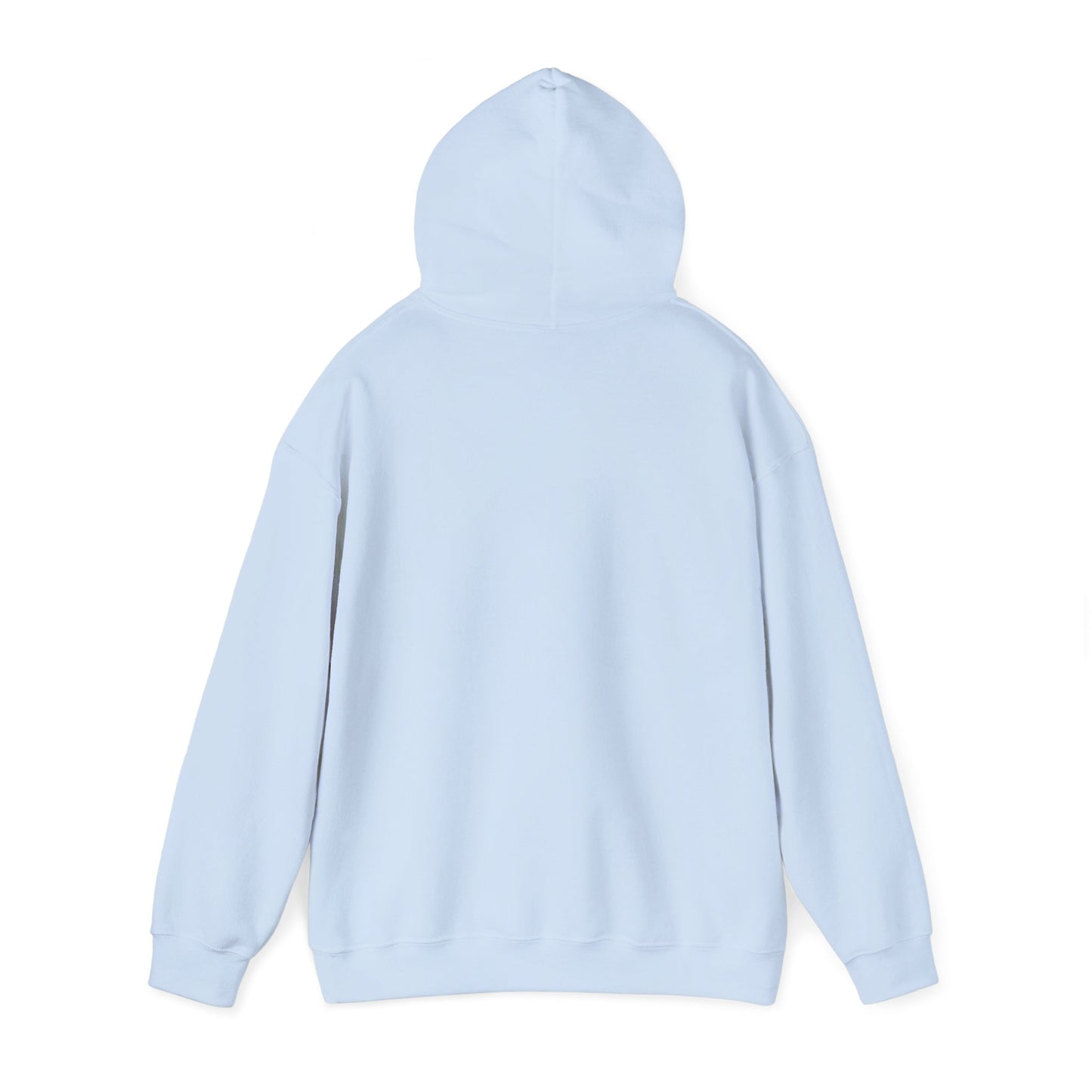Hoodie — "I Survived Too Many Storms to Be Bothered by Raindrops" Retro Graphic